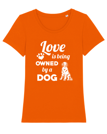 DOG Bright Orange