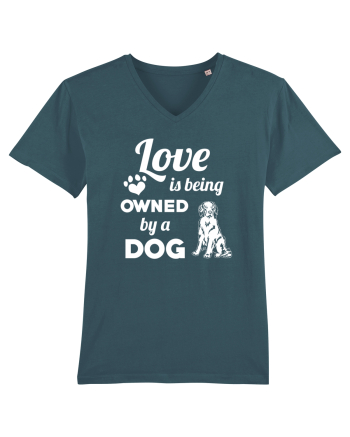 DOG Stargazer