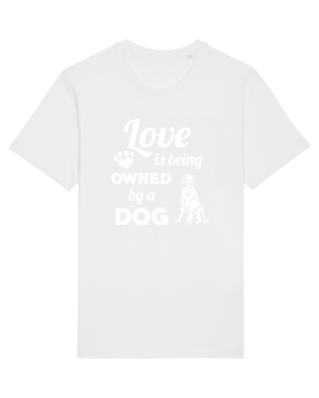DOG White