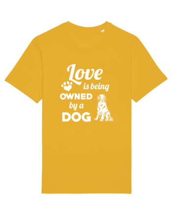 DOG Spectra Yellow
