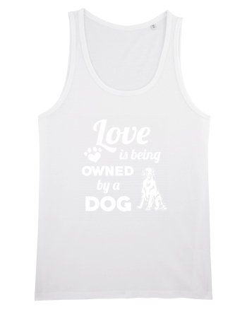DOG White