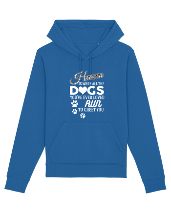 DOGS Royal Blue