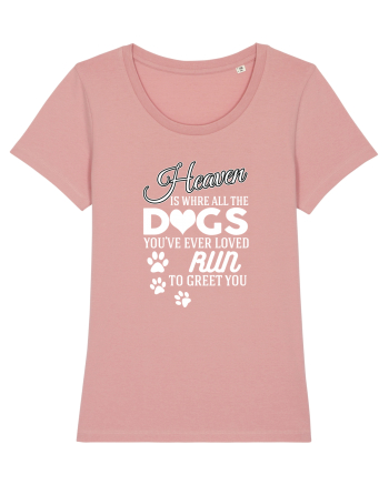 DOGS Canyon Pink