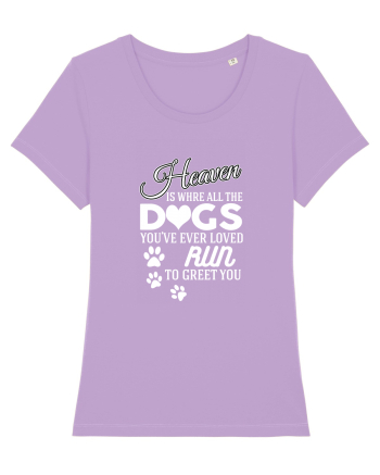 DOGS Lavender Dawn