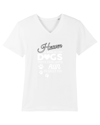DOGS White