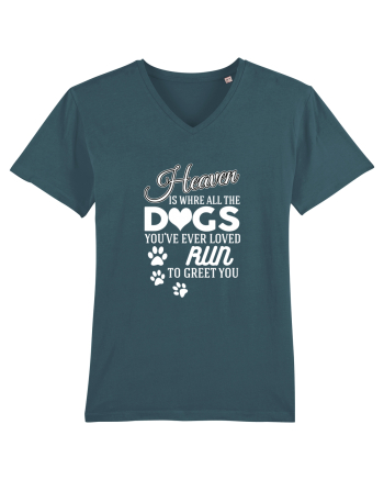 DOGS Stargazer
