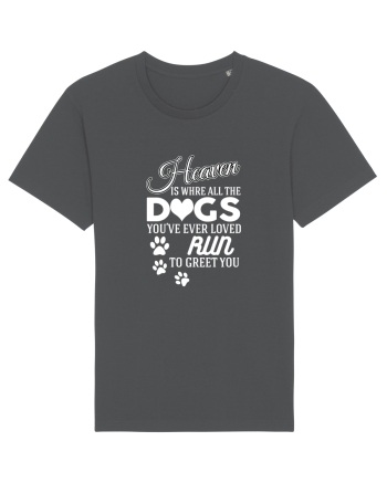 DOGS Anthracite