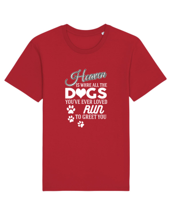 DOGS Red