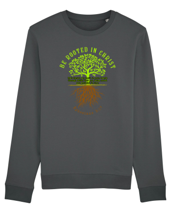 Rooted in Christ Anthracite