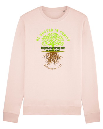 Rooted in Christ Candy Pink