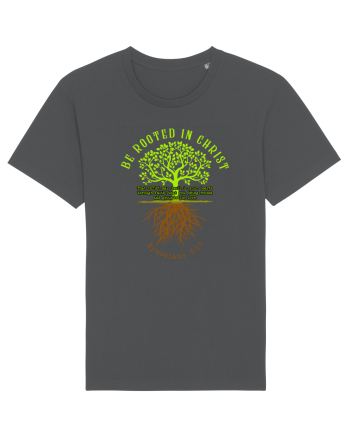 Rooted in Christ Anthracite