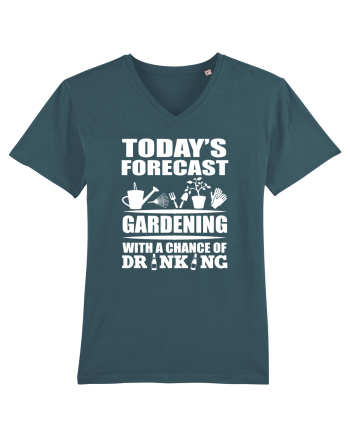 GARDENING Stargazer