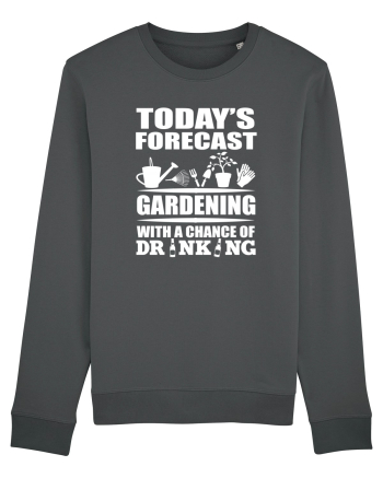 GARDENING Anthracite
