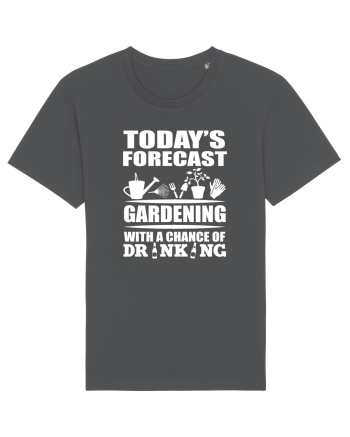 GARDENING Anthracite