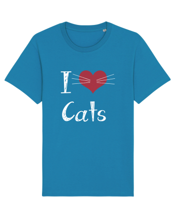 CATS Azur