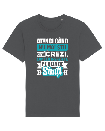 Ceea ce simti Anthracite