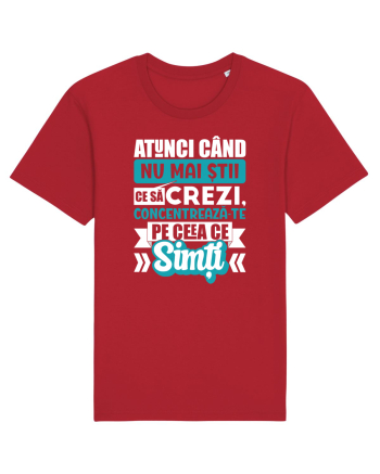 Ceea ce simti Red