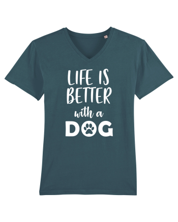 Life is better with a dog. Stargazer