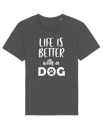 Life is better with a dog. Anthracite
