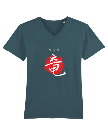 Dragon în Japoneză (ryuu, hiragana și kanji) alb și roșu Stargazer