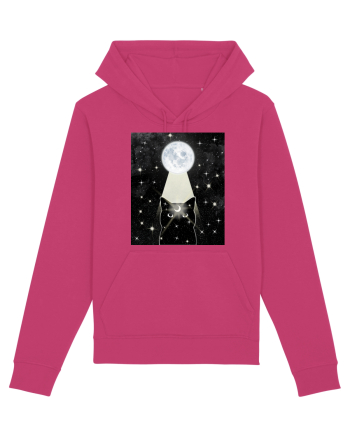 Moon Cat Raspberry