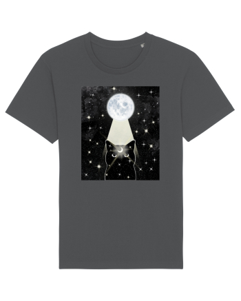 Moon Cat Anthracite