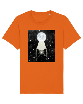 Moon Cat Bright Orange
