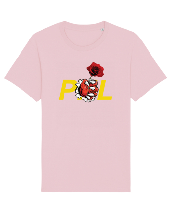 Un trandafir pentru noii membrii ai vechiului partid Cotton Pink