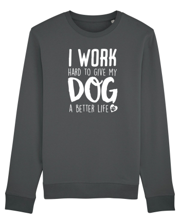 I WORK HARD for my dog Anthracite