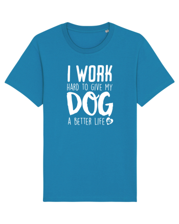 I WORK HARD for my dog Azur