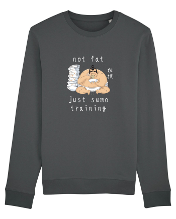Not Fat Just Sumo Training (alb) Anthracite
