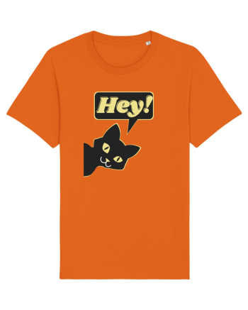 Funny Black Cat Bright Orange