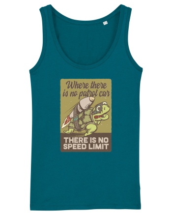 No speed limit Turtle Ocean Depth
