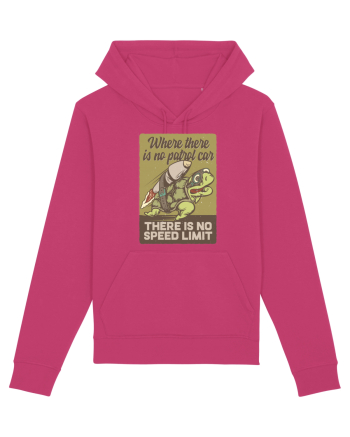 No speed limit Turtle Raspberry