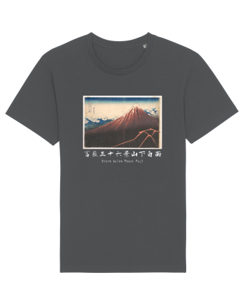 Storm below Mount Fuji (text alb) Anthracite