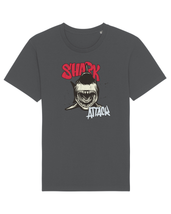 Shark attack Anthracite