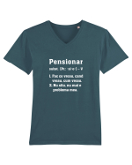 Pensionar Tricou mânecă scurtă guler V Bărbat Presenter