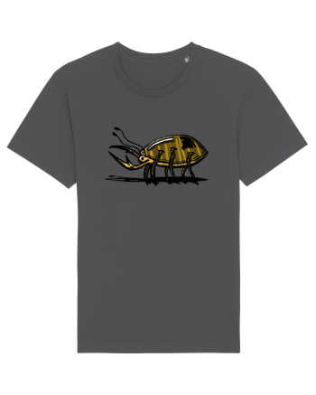 GOLDEN BUG Anthracite