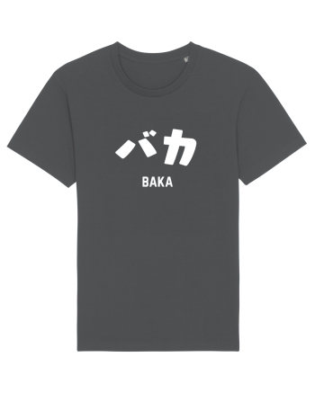 Baka Katakana (alb) Anthracite