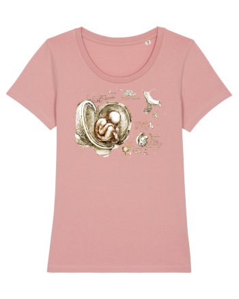 Leonardo da Vinci Canyon Pink