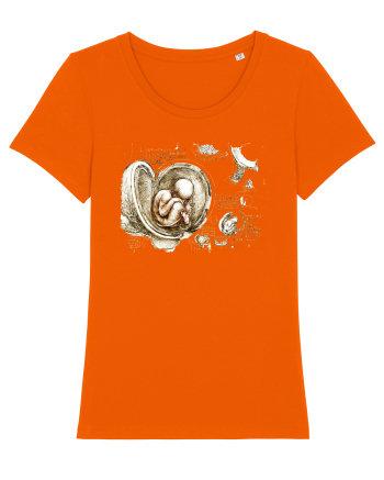 Leonardo da Vinci Bright Orange