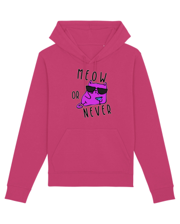 Meow or never Raspberry