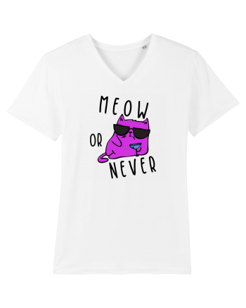 Meow or never White