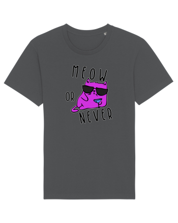 Meow or never Anthracite