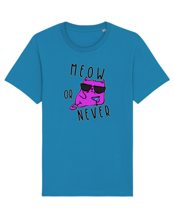 Meow or never Azur