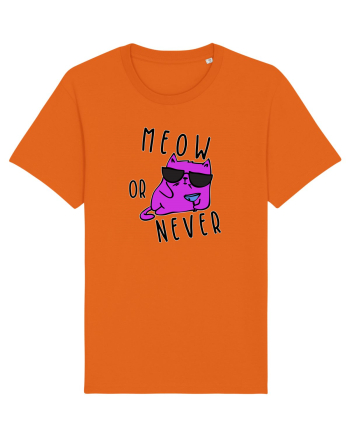 Meow or never Bright Orange