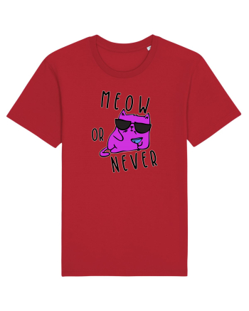 Meow or never Red