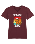 Ce am facut de Craciun Tricou mânecă scurtă guler V Bărbat Presenter