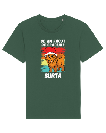 Ce am facut de Craciun Bottle Green