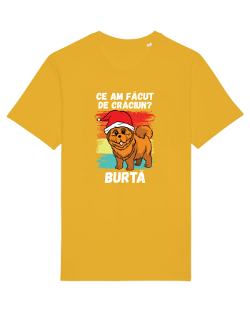 Ce am facut de Craciun Spectra Yellow